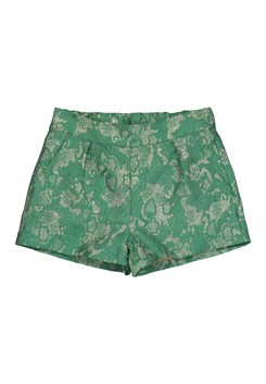 The New Kira shorts - Holly Green